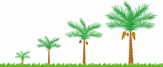 Learn Arabic for free Learn Arabic for free
